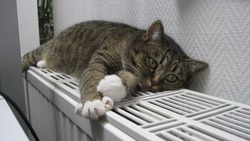 Отопление отключат на четыре часа в селе Дальнем 20 октября