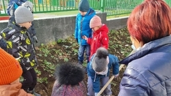 «Они будут расти вместе с детьми»: калининградские кедры дадут тень детским садам на юге Сахалина