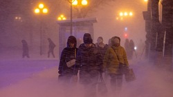 Погода в Южно-Сахалинске 15 января: до -12 днем, сильный снег и туман 