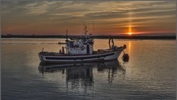 Промышленная путина лосося стартует на Сахалине: что, где, когда