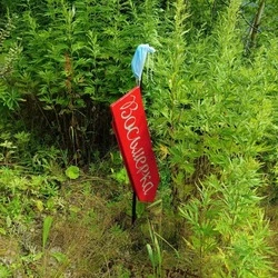 Вандалы разгромили объекты на эко-тропе «Горного воздуха»