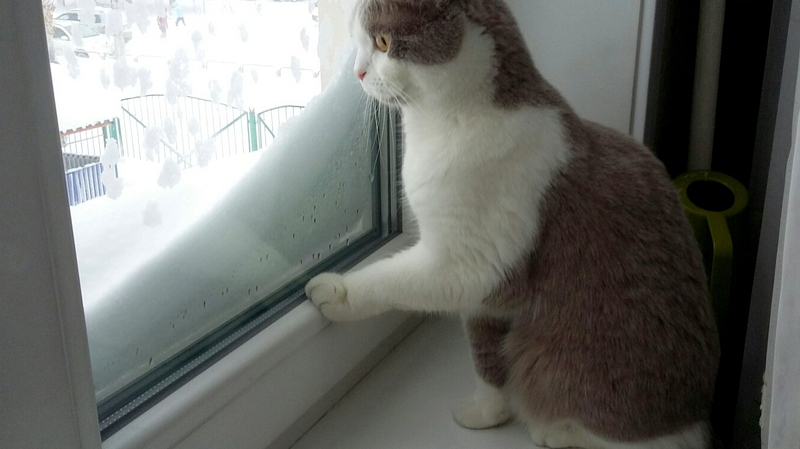 На Сахалине после циклона вернули свет в дома и открыли дороги