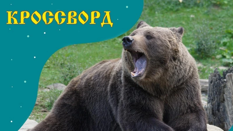 Кроссворд Sakh.online № 22: логовище медведя, раздел ботаники и морская рыба