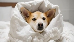 Без отопления на шесть часов остались несколько улиц в Южно-Сахалинске 13 мая