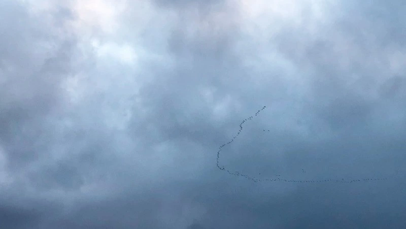 Штормовой ветер с дождем придет на юг Сахалина и Курилы 17 апреля