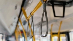 В Корсакове пассажиров настойчиво попросили запастись «наличкой»