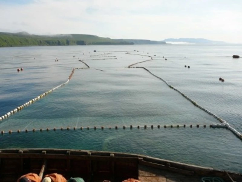 Рыбопромышленника накажут за смерть сотрудника на севере Сахалина