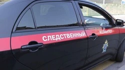 Следователи занялись нападением собак на семью с годовалым ребенком в Южно-Сахалинске