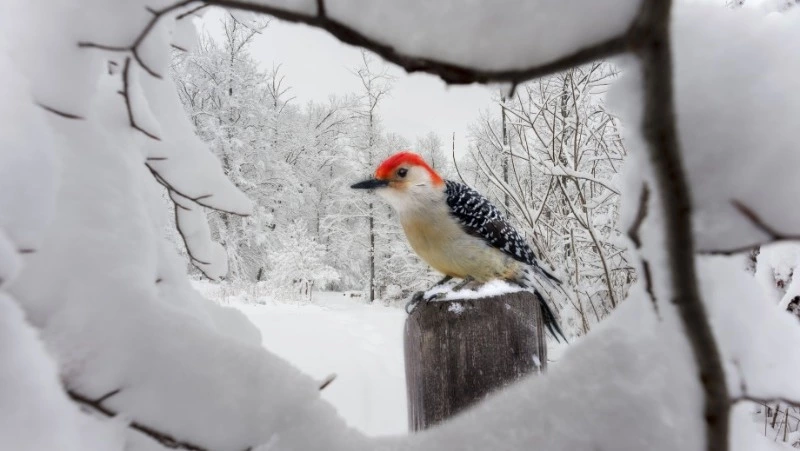 Народные приметы на 15 декабря 2023: что нельзя делать в этот день
