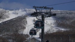 «Горный воздух» в Южно-Сахалинске закрыли для посещения 13 февраля 