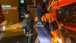 Пожарные ночью тушили гараж в селе Углегорского района 