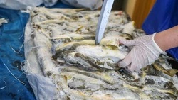 Жители Южно-Сахалинска могут купить рыбу по доступной цене 11 февраля 