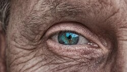 На Сахалине будут платить за опекунство над недееспособными родственниками