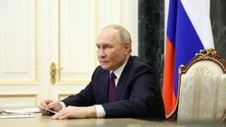 ВЦИОМ: более 80% россиян заявили, что доверяют Владимиру Путину