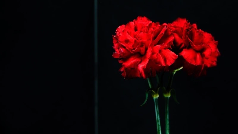 Ректор Школы-студии МХАТ Игорь Золотовицкий скончался на 65-м году жизни