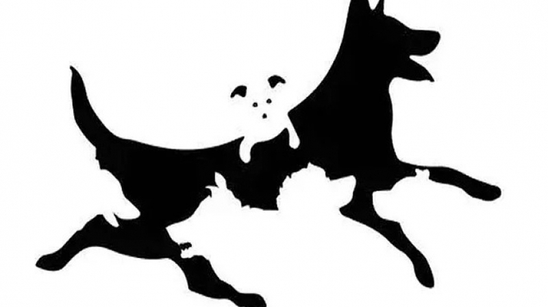 Определите количество собак на картинке и узнайте свой психологический возраст — ТЕСТ