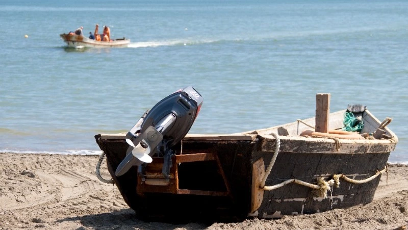 Запрет на добычу корюшки установили 8 июня для восточного Сахалина