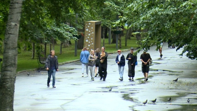 Чем вреден вейп для здоровья человека? Черта 27.07.23