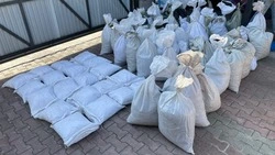 Таможенники задержали вывозивших дальневосточный трепанг в Китай контрабандистов