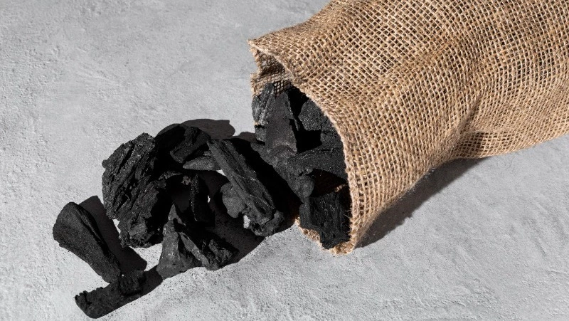 Япония не готова отказаться от поставок российского угля  