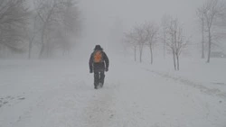 В МЧС предупредили об урагане в пяти районах Сахалинской области