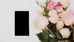 Сахалинец может отправиться в тюрьму за кражу телефона у доверчивой флористки