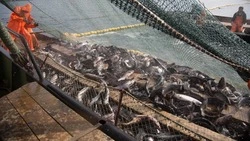 Пять мест для лова выделили в четырех районах Сахалинской области