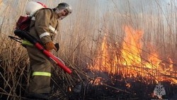 Пожарные ликвидировали за сутки 5 случаев возгорания травы в разных районах Сахалина