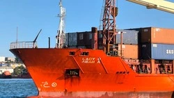 В четыре раза дешевле: судно «Леди Д» впервые прибыло на Сахалин по Северному морскому пути