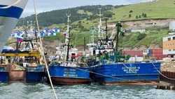 На Сахалине конкурсного управляющего ЗАО «Рыбокомбинат Островной» засыпали судебными исками