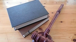 Shot: сахалинец потребовал с Орбакайте более 300 тысяч рублей за сорванный концерт