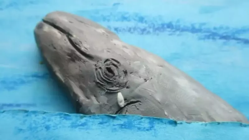 Мультфильм сахалинского мальчика про убийство китов довел до слез главу Росприроднадзора