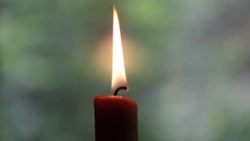 Смерть артиста, труп японки у Курил, магазинные кражи: главные новости выходных в РФ