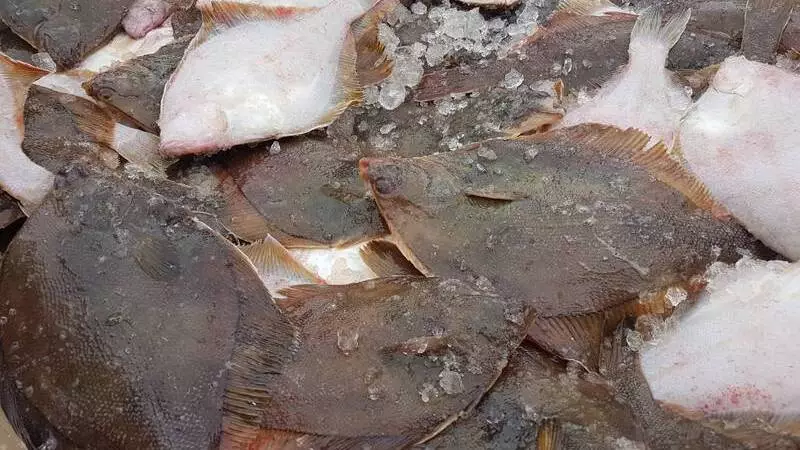 Сахалинцы и курильчане купили более 260 тонн свежей доступной рыбы с начала года