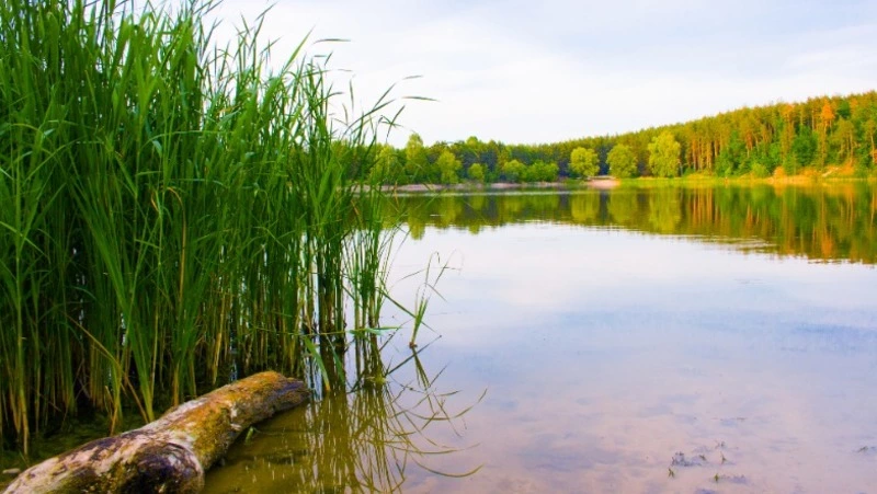 Церковный праздник 21 июля 2024: что нельзя делать в этот день, приметы