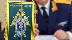 Девочка полутора лет выпала из окна третьего этажа в Южно-Сахалинске