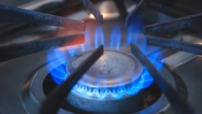 В Европе оценили последствия прекращения поставок российского газа