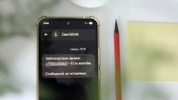 Чаще всего мошенники на Сахалине звонят детям в четверг утром    