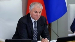 В Госдуме предложили признавать госизменой участие иноагентов в конференциях и форумах