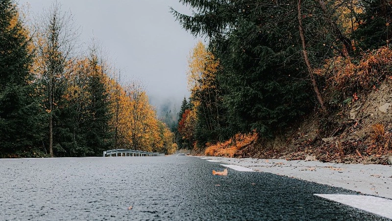Прогноз погоды на Сахалине и Курилах 6 ноября: снег с дождем и пасмурное небо