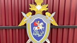 Следователи задержали пристававшего к сахалинским школьницам мужчину 