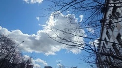 Пасмурный день с дождем спрогнозировали в Южно-Сахалинске 23 апреля