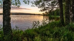 День заповедников и Международный день «Спасибо»: какие праздники отмечают 11 января