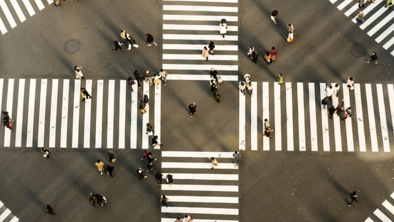 Вишневский ответил на нападки из-за зеленых кустов на улицах Южно-Сахалинска