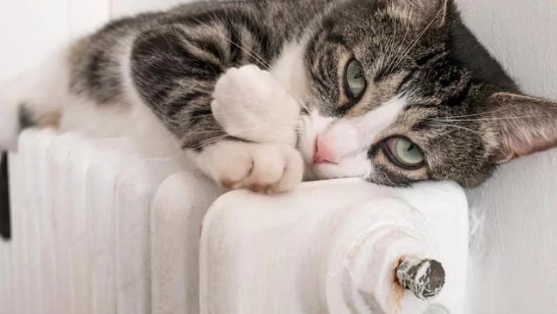 Отопление отключили на трех улицах Южно-Сахалинска 23 декабря 