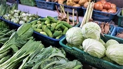 Росстат озвучил самые подорожавшие за год товары