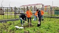 В Шахтерске сделали аллею, посвященную ветеранам угольной промышленности