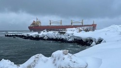 Китайский балкер An Yang 2 начнут снимать с мели в Невельске в мае