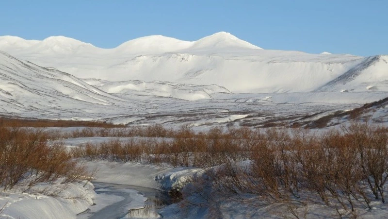 Китайские аналитики: Япония собиралась отобрать Курильские острова у ослабшей под санкциями России 