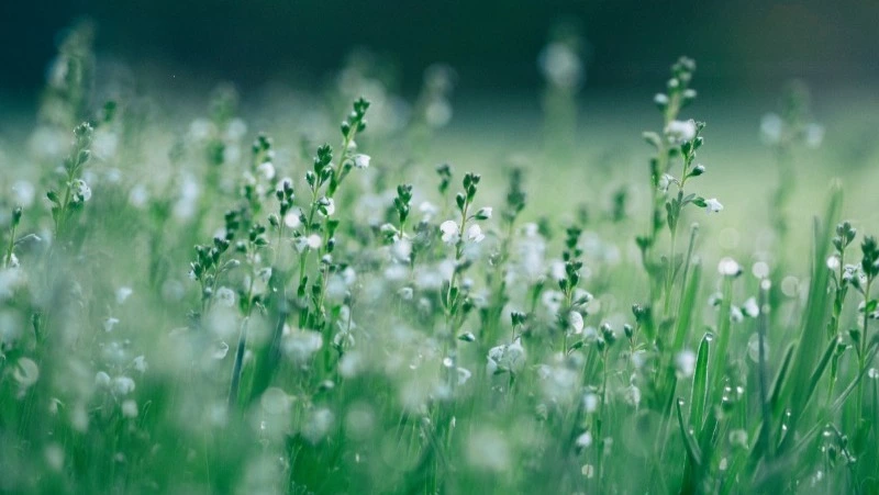 Приметы обо всем на 25 июля 2023 года: что можно и нельзя делать в этот день